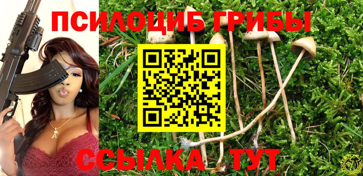 Псилоцибиновые грибы Magic Shrooms Благовещенск