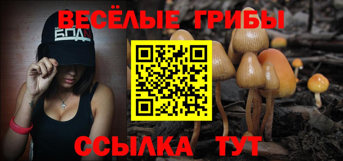 Галлюциногенные грибы Psilocybine cubensis  Вход с VPN  цена   Псилоцибиновые грибы мицелий  Благовещенск 